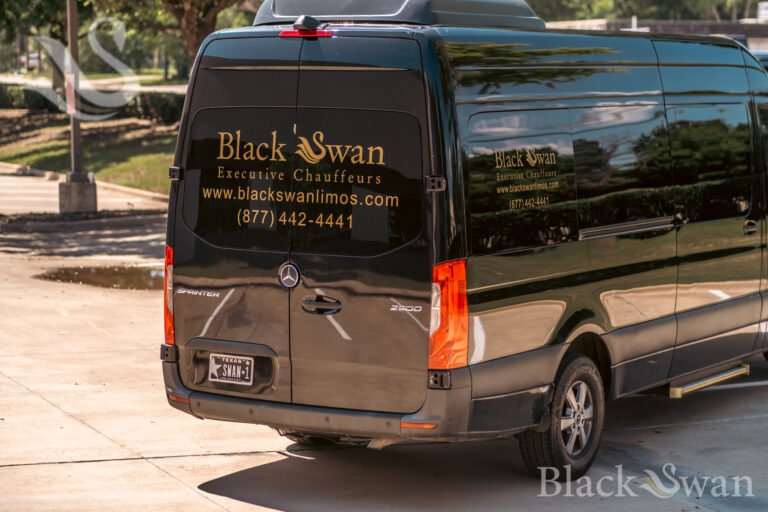 blackswan-137