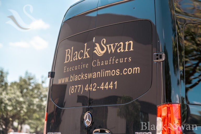 blackswan-140