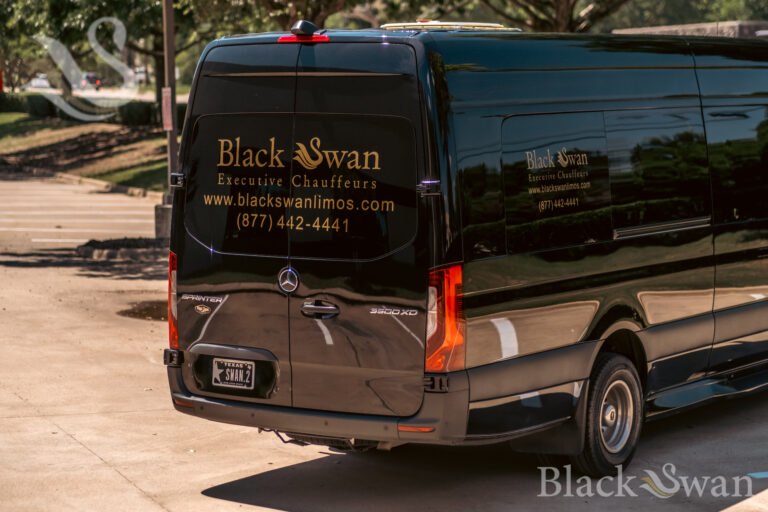 blackswan-42