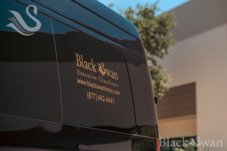 blackswan-43