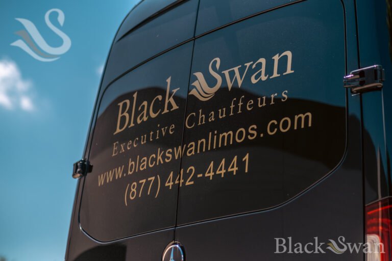 blackswan-45